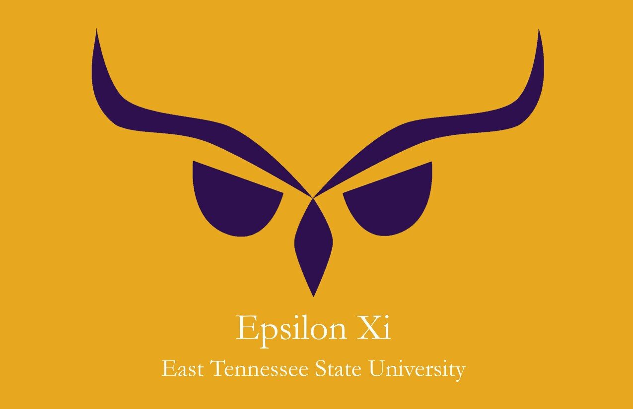 Phi Sigma Pi Epsilon Xi Chapter at East Tennessee State University. 2013 Torchia Winners.