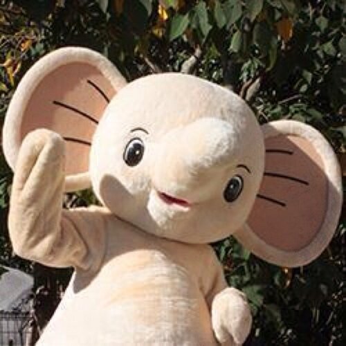 日本で一番多い11頭のぞうさんをはじめ、レッサーパンダやカピバラ等100種類の動物たちが暮らしている「市原ぞうの国」のオリジナルキャラクターです！