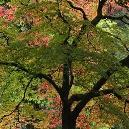 LuzSMora's profile picture. 