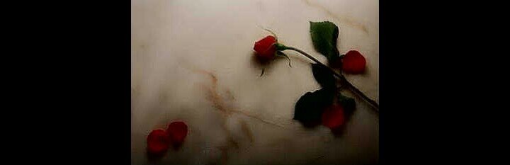 أجيك يسلم راسك اشلون ما اجيك=وياك انا بالـذات صعـب اتغلّـى 
قلنـا تغلّـى ميـر زدت بتغلّيـك=والناس قالوا مـن تغلّـى تخلّـى