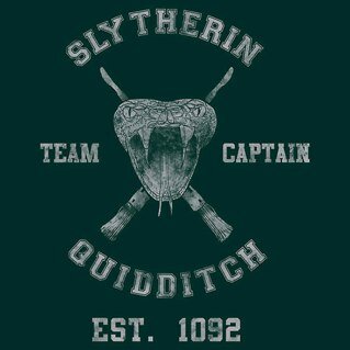 Im a jedi from gallifrey and in my spare time i play quidditch