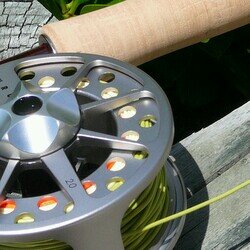 fly fishing hunting foraging cooking
41°17’10.71’’S 174°46’34.20’’E