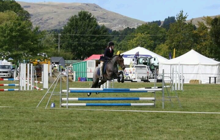 laurachar98's profile picture. Equestrian~One Direction~5sos~The Mortal Instruments~ thanks for following :) ♥♥