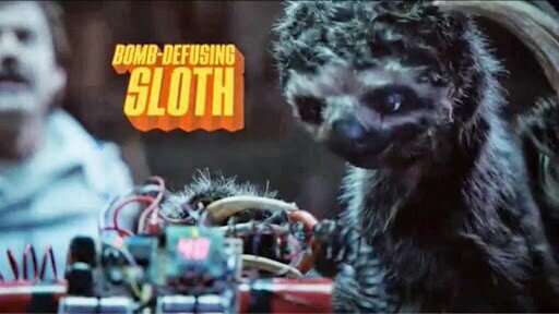 bomb_sloth's profile picture. All I do is win win win no matter what