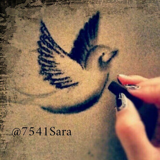 7541Sara's profile picture. 