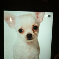 jenny (@jensontwit) 's Twitter Profile