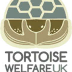 Independant welfare organisation striving to improve welfare of tortoises in captivity Actively linking groups, keepers, sanctuaries, rescue, rehoming and trade