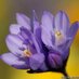 SligoCancerSupport (@sligocancersupp) Twitter profile photo SligoCancerSupport (@sligocancersupp) Twitter profile photo
