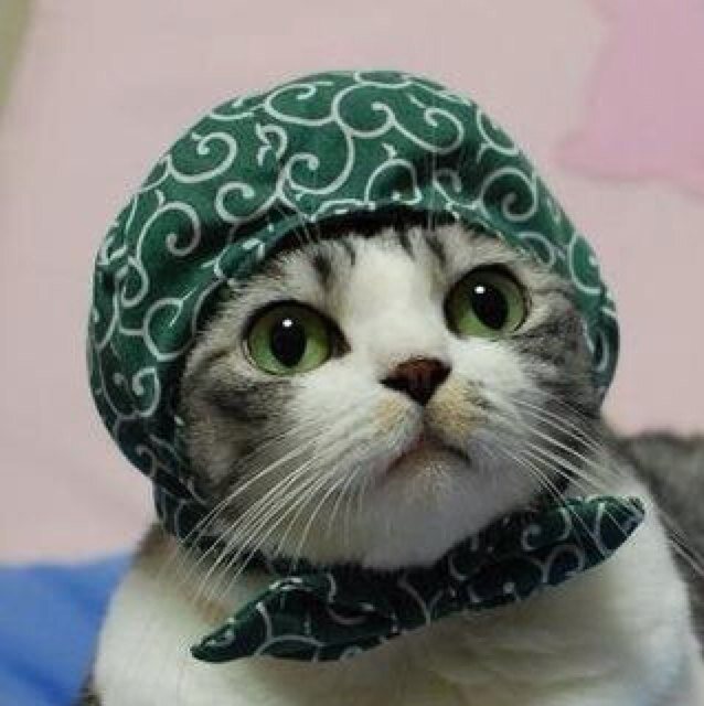 各種エロスの探求
紹介もしてるよ
保守です