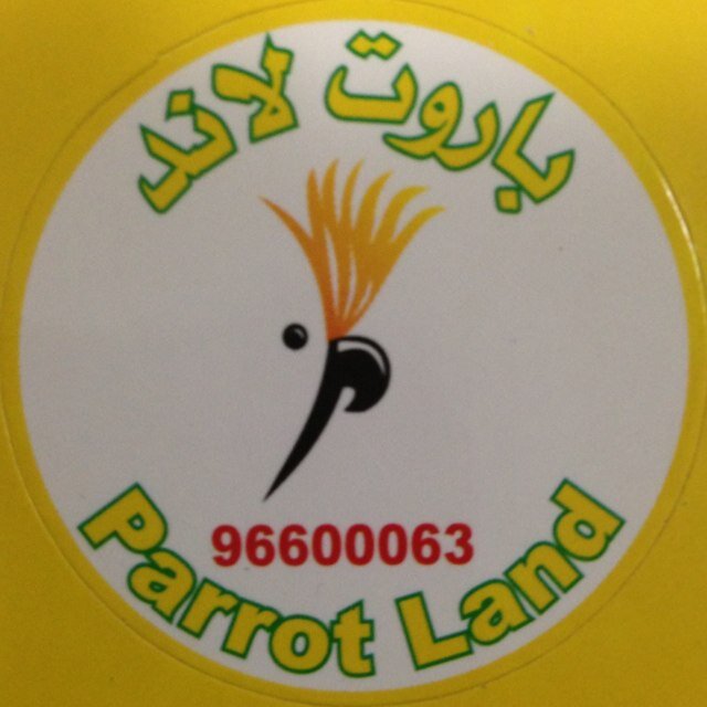 لبيع الطيور الناطقه ومستلزماتها . الكويت