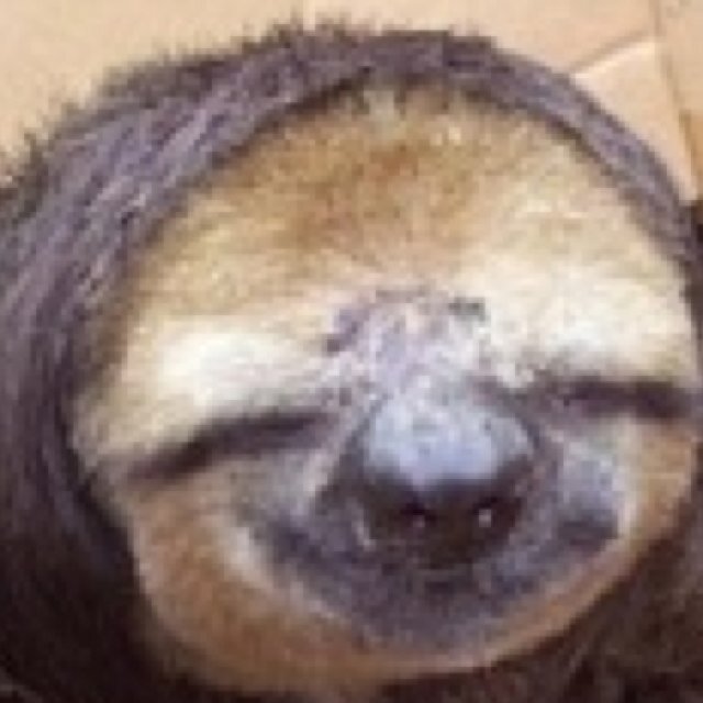 Psskbsjdlslssab's profile picture. 