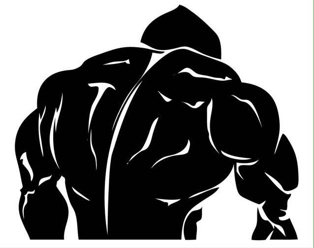 Bodybuilding/Fitness/Nutrition/Prep Coaching