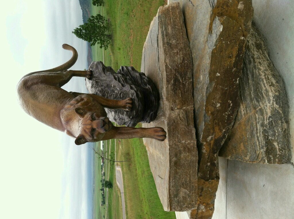 takeapic4u2's profile picture. HUGE Philadelphia Eagles Fan, Having fun and enjoying life. 
Carry a camera everywhere you go, you never know what you will see threw a lens.