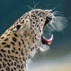 AnaBitox's profile picture. 