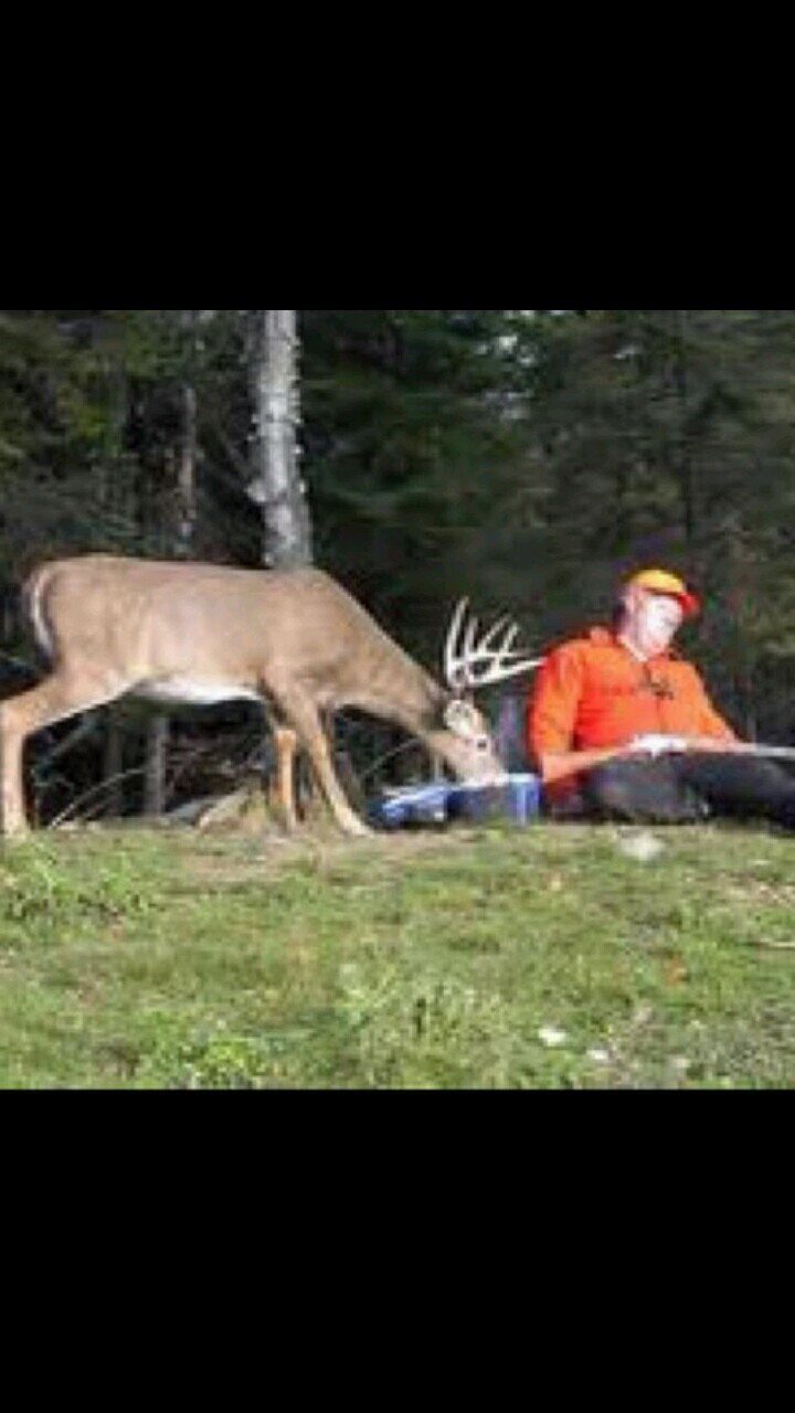 hunting_prob's profile picture. The typical probs of the average hunter.