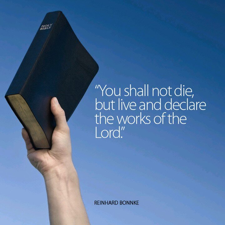 albanonick4's profile picture. 