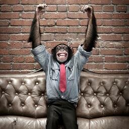 Sosyal_Maymun's profile picture. Maymun edersiniz adamı