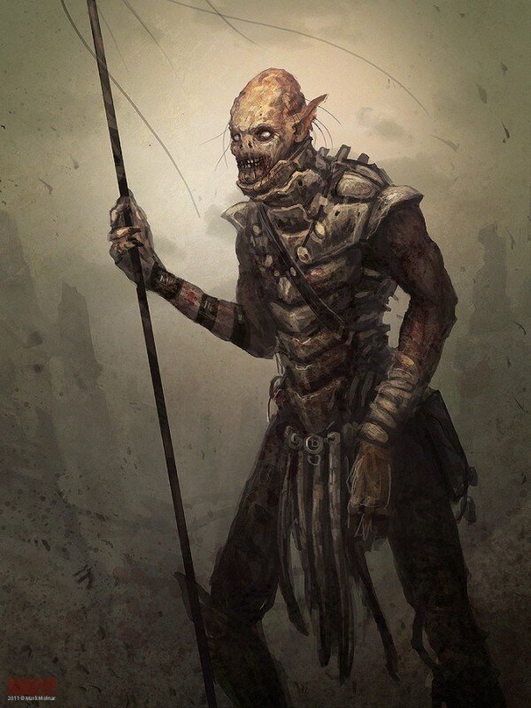 Orktion's profile picture. Hi, I'm Ork. I do auctions, or as I like to call them....Orktions