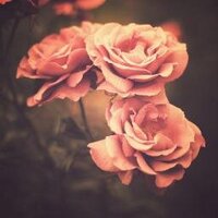 إسـرآء (@israbdr63) 's Twitter Profile