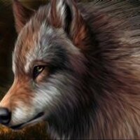d🦕 (@wolkovd) 's Twitter Profile