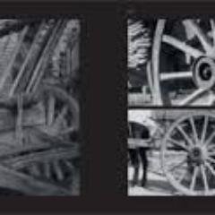 dona_andita's profile picture. 