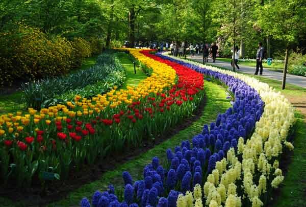 Proud of Dutch heritage. Proud Progressive.  #UniteBlue