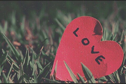 ‏أكتب أو أنقل كل مايروق لي                                                                              وضعت الحساب ليخفف عن كاهلي ماأشعر به