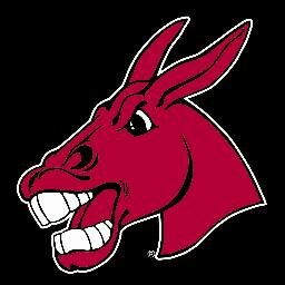 UCMJensSoftball Profile Picture