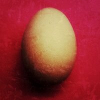 Marek Nepožitek (@mareknep) 's Twitter Profile Photo