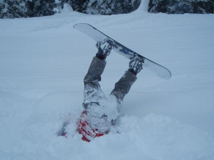 Timfd66's profile picture. Love has always been the answer