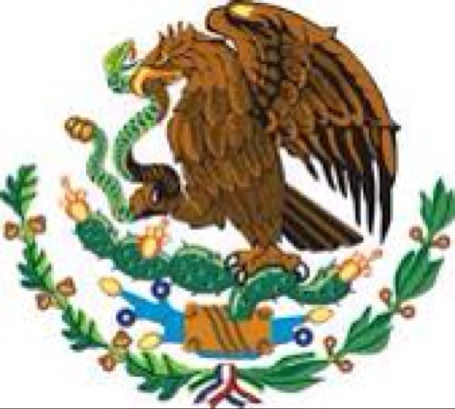 marcopalomino93's profile picture. 