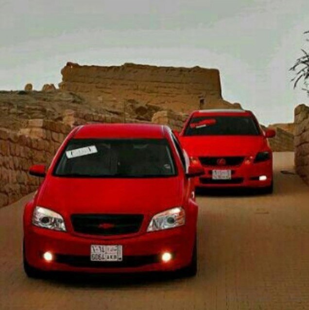 Follow = Follow back