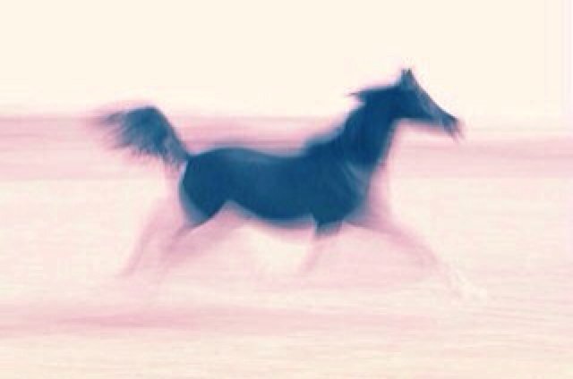 ℬe your own kind of ℬℯautiful❦                                         ~لا اله الّا الله وحده لا شريك له