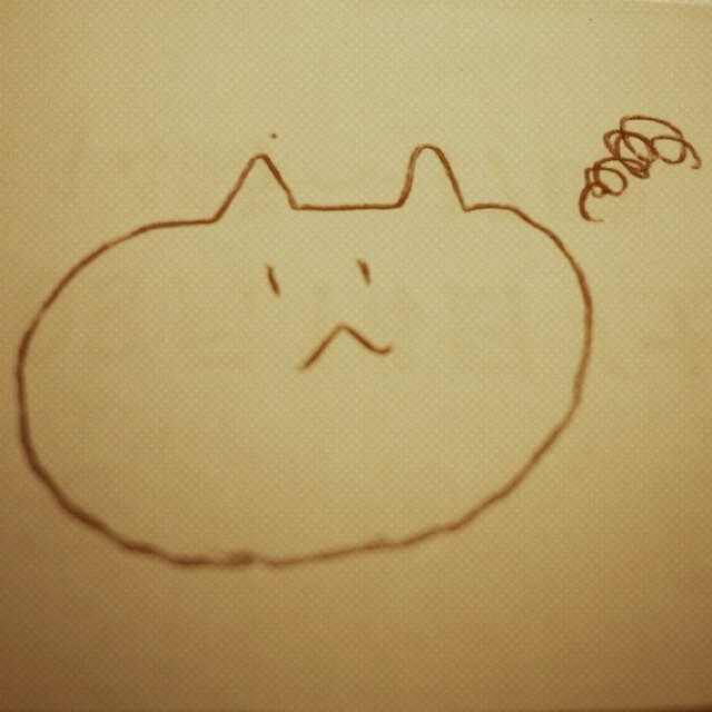 ねこ日記