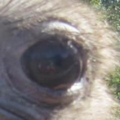 The Northern Star - Always Entertaining, Educational And Amusing - Visit our Blog