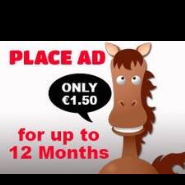The New HorseTrader.ie Web Site Will Go Live On Friday Morning. 
HorseTrader.ie Is A Dedicated Web Site For The Equestrian World In Ireland & The Uk.