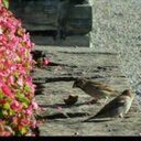 همس (@050_me) Twitter