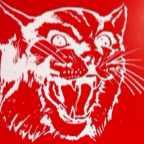 #BobcatNation is what you follow. Help support our BOBCATS an follow us. S/Os are appreciated. GO BOBCATS!!!!!!!