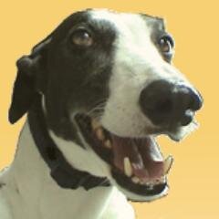 http://t.co/4CAvWl2AKv is committed to making a positive difference in the lives of aggressive dogs and those around them. Follow us on Facebook!