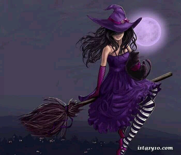 Where My Cat IS /Rinding On My BroomStick