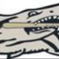 Gulf Coast Baseball (@gchs_sharks) 's Twitter Profile