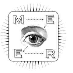 Meier- A unique firm incorporating analysis, insights, strategy & all other forms of identity & promotion- to understand, renovate & direct a brand's position.