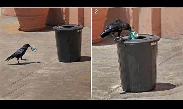#SOAPS : Setiap Orang Adalah Pemungut Sampah *Sebuah gerakan kesadaran individu*