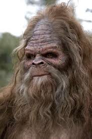 Sup Im sasquatch Im just a teenager tryna live my sasquatch life #ifollowback