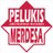 PelukisMerdesa's profile image