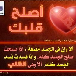 الشيخ أبوعمار الإستقامة طريق الخير والبر وهو الطريق الموصل إلى الجنة ورضا الله تعالى ،