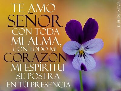 La palabra de Dios es nuestra inspiración, hemos decidido servirle y llevar su palabra a todos...