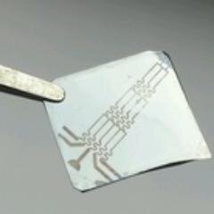 LocklinLabUGA Profile