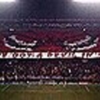David (@_sdejong_) 's Twitter Profile Photo