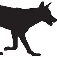 Black Dingo (@blackdingoprod) 's Twitter Profile